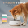 Stainless Steel Dog Bowl with Non-Slip Base 