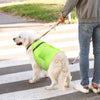 2-Pack Dog Cooling Vests with 4 Reusable Ice Packs – Adjustable Summer Cooling Harness Jacket for Dogs (Large)