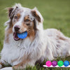 3'' Indestructible Squeaky Dog Balls – 3-Pack