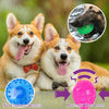 3'' Indestructible Squeaky Dog Balls – 3-Pack
