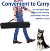 Dog Agility Course Set – 4-Piece Training Kit