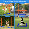 Dog Agility Course Set – 4-Piece Training Kit