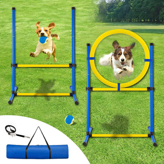 Dog Agility Training Set – Backyard Obstacle Kit