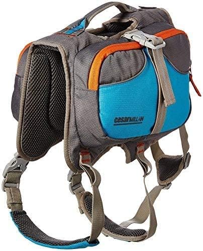 Dog Hiking Backpack – Large, Blue, Adjustable Fit