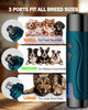 High-Bounce Dog Balls – Floating & Durable Fetch Toys, 2.5