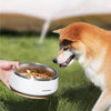 Stainless Steel Dog Bowl with Non-Slip Base 