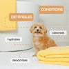 Curly Coat Dog Shampoo – Oat Milk & Shea Butter