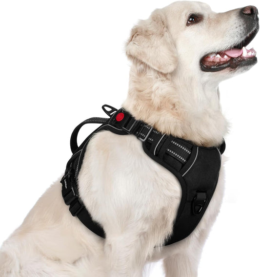 No-Pull Dog Harness – Black, Large, 2 Clips