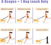8FT Hands-Free Leather Dog Leash – Durable & Strong
