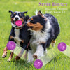 3'' Indestructible Squeaky Dog Balls – 3-Pack