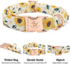 Sunflower Dog Collar – Adjustable & Durable Pet Collar for Medium Dogs