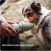 Portable Dog Water Bottle – 350ml, Collapsible