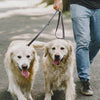 8FT Hands-Free Leather Dog Leash – Durable & Strong