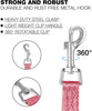 Extra Long Dog Training Leash – 15ft to 100ft