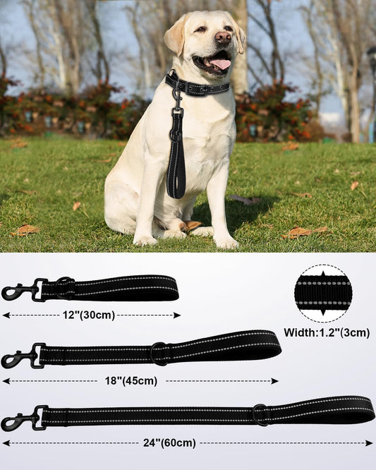2FT Heavy Duty Dog Leash – Black, Reflective