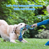 2-Pack Heavy Duty Dog Rope Toys – Tough Tug