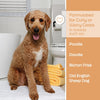 Curly Coat Dog Shampoo – Oat Milk & Shea Butter
