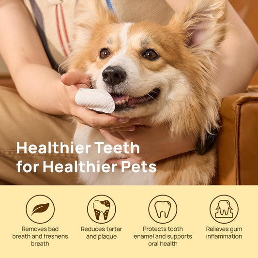 Pet Teeth Cleaning Wipes – 50 Ct, No-Rinse Care