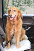 2-Pack Adjustable Dog Seat Belts – Elastic Bungee & Reflective Nylon