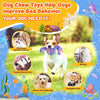 Tough Squeaky Dog Chew Toy – All Breeds
