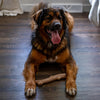 Super Dogwood Chew Stick – Durable Toy (L)