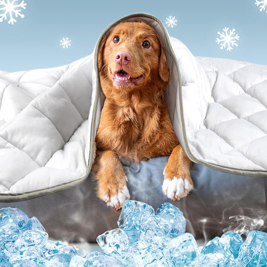 Cooling Mat for Pets – Portable Summer Blanket