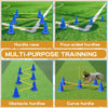 Adjustable Dog Agility Hurdle Set – Blue