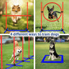 Dog Agility Training Set – 4-in-1 Obstacle Kit
