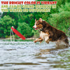 Dog Float Bumper Toy – 10.8