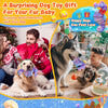 Tough Squeaky Dog Chew Toy – All Breeds