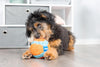 Indoor Fetch Ball Dog Toy – Interactive Play, 4.75