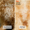 Curly Coat Dog Shampoo – Oat Milk & Shea Butter
