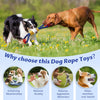 Tough Interactive Dog Rope Toys – Tug 