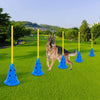 Adjustable Dog Agility Hurdle Set – Blue