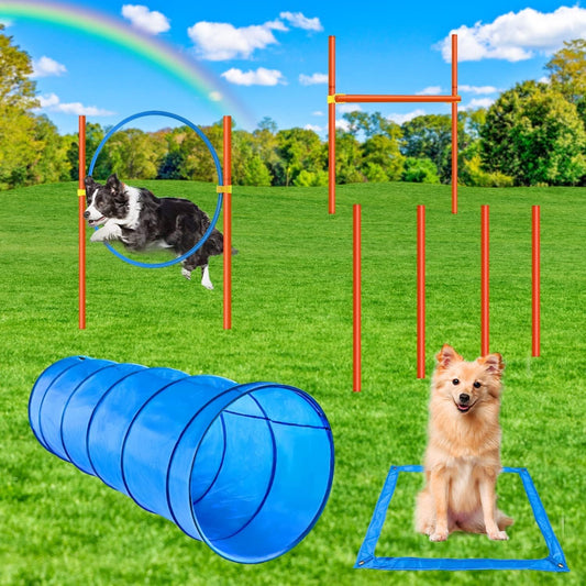 Agility Training Set for Dogs – Backyard Kit