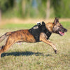 Heavy-Duty Tactical Dog Harness – Black, Large