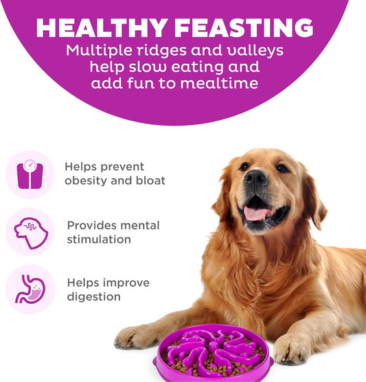 Large Fun Feeder Slo Bowl – 4 Cups (Purple)
