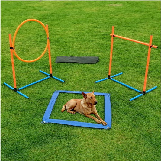 Dog Agility Starter Kit – 3-Set Training Course