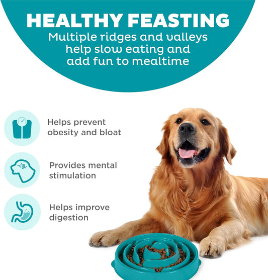 Fun Feeder Slow Bowl – Large, Turquoise, Anti-Gulp Dog Bowl