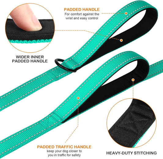 Heavy Duty Dog Leash – Teal, 6FT, Dual Handle