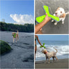 Superchewy Floating Dog Toy – Durable Natural Rubber Fetch Toy for Pool 