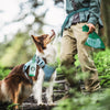 Compostable Dog Poop Bags – 120 Count with Holder