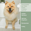 True Coat Thick Coat Dog Shampoo – Desheds & Softens