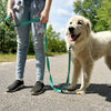 Heavy Duty Dog Leash – Teal, 6FT, Dual Handle