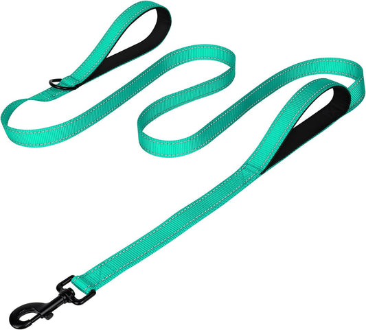 Heavy Duty Dog Leash – Teal, 6FT, Dual Handle