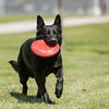 Flyer Dog Toy – Durable Natural Rubber Flying Disc for Medium 